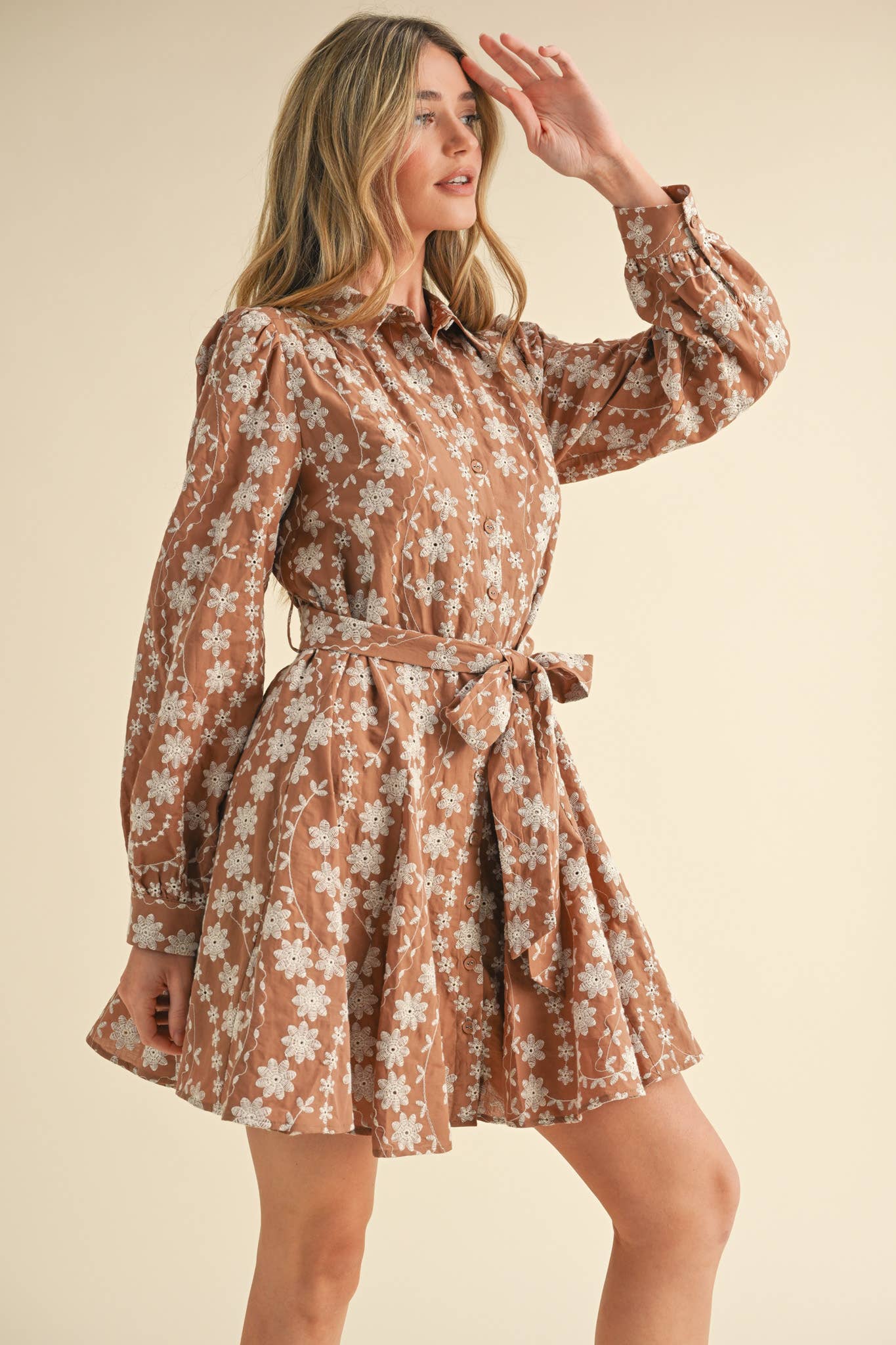 Floral Embroidery Button Down Flared Dress