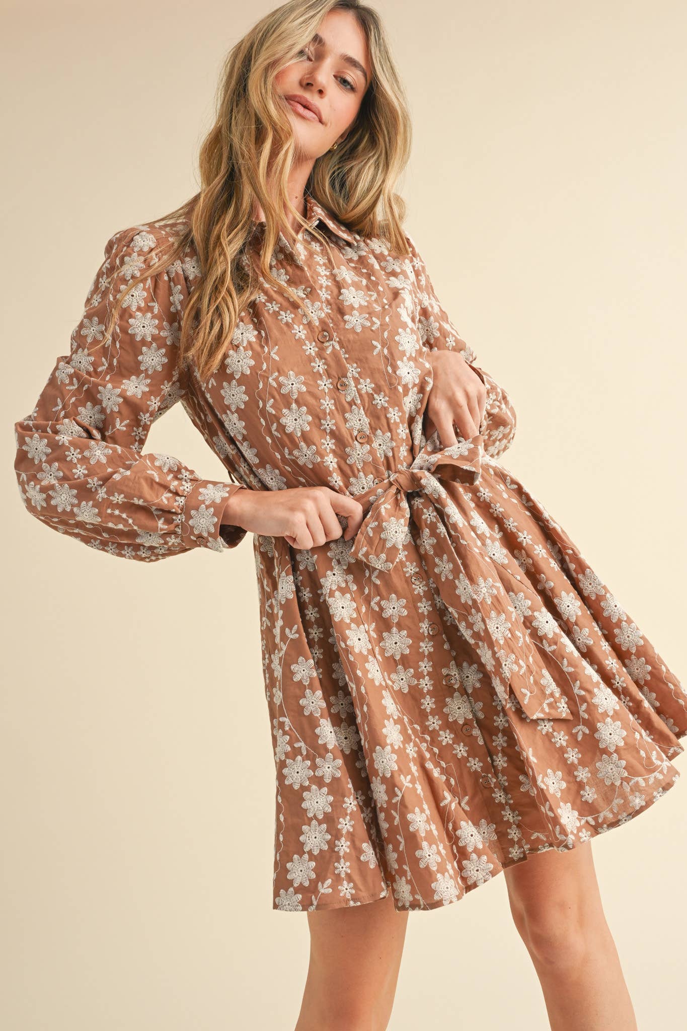 Floral Embroidery Button Down Flared Dress